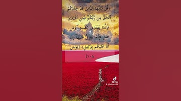 القرآن الكريم راحة نفسية تلاوة خاشعة حالات واتس اب قرآن كريم ❤️❤️
