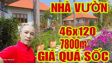 🛑NHÀ VƯỜN 7800m2 NGHỈ DƯỠNG Mặt Tiền Đường Nhựa 65x120 Chính Chủ Bán Gần Sông Sài Gòn #bietthuvuon