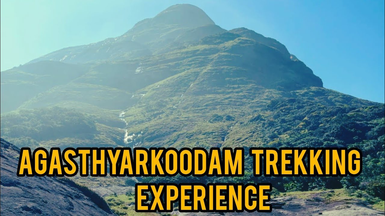 Agasthyarkoodam Trekking ... My experience🏞️🌳🌳⛰️#agasthyarkoodam  #keralatourism #touristspot 