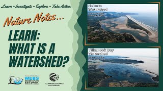 Nature Notes: What is a Watershed
