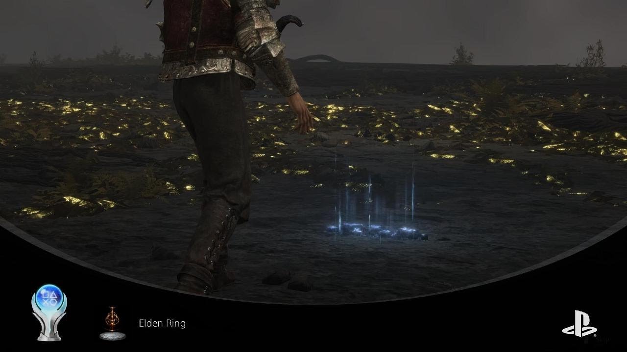 How to celebrate getting another Elden Ring platinum YouTube