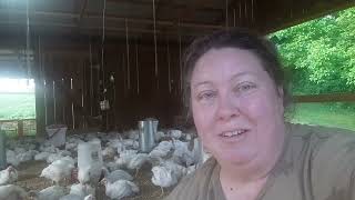 Heart Failure in Broilers