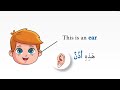 Learn parts of the face in English - تعلّم أجزاء الوجه بالإنجليزية