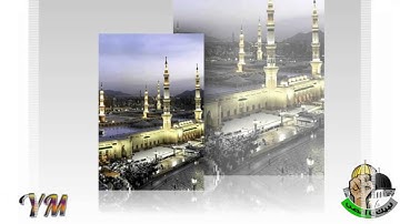 105 سورة الفيل القارئ سعد الغامدي