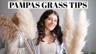 PAMPAS GRASS care maintenance tips home decor tips 2021