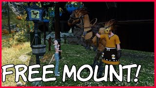 kihnotes - How to get your first mount and 4 Tips to improve your experience