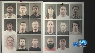 Erin Kelly on gang-related arrests