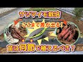 【お芋の収量は変わる！？】植えるツルの長さので、サツマイモの成り数に違いがみられます！　タネのハシモト