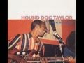 Hound dog taylor  the houserockers  roll your moneymaker