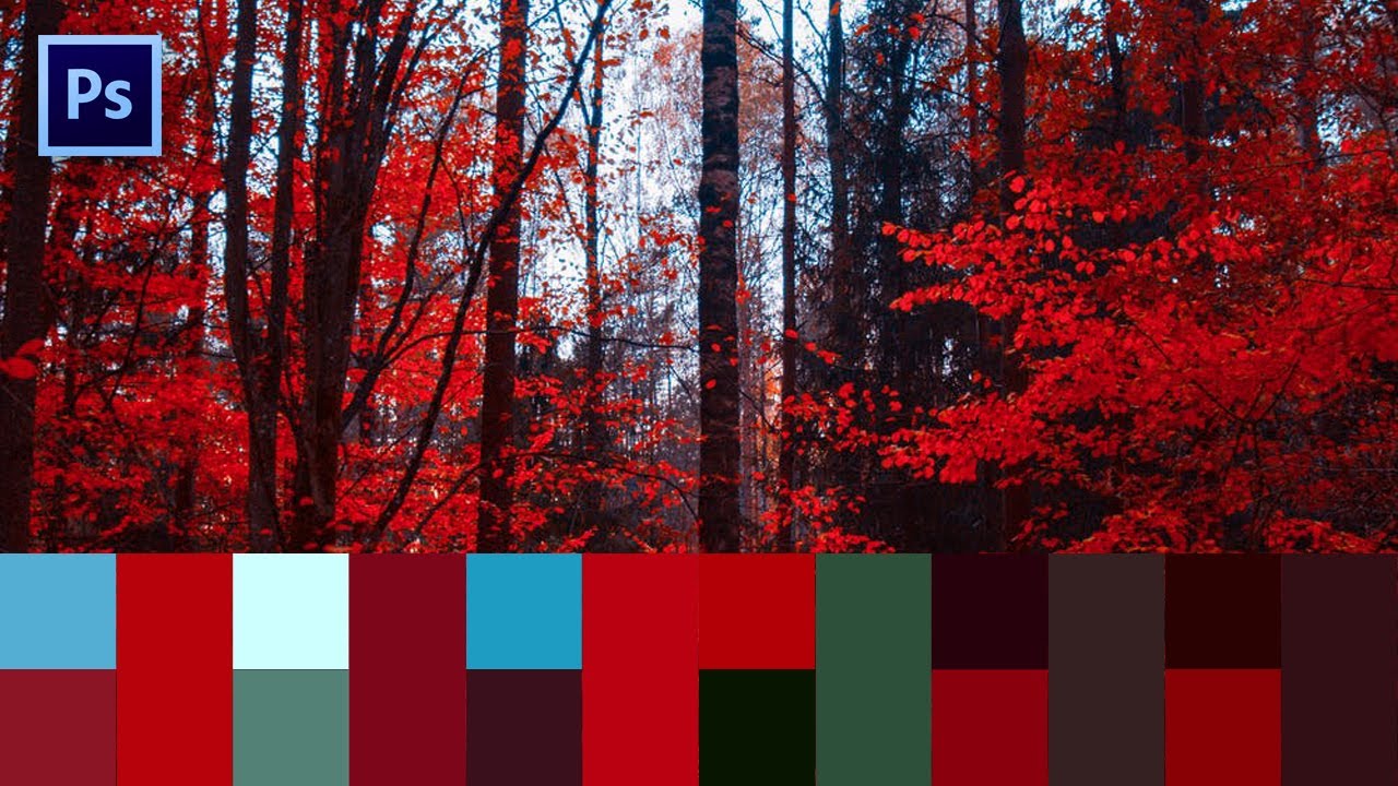 photoshop create color palette from image
