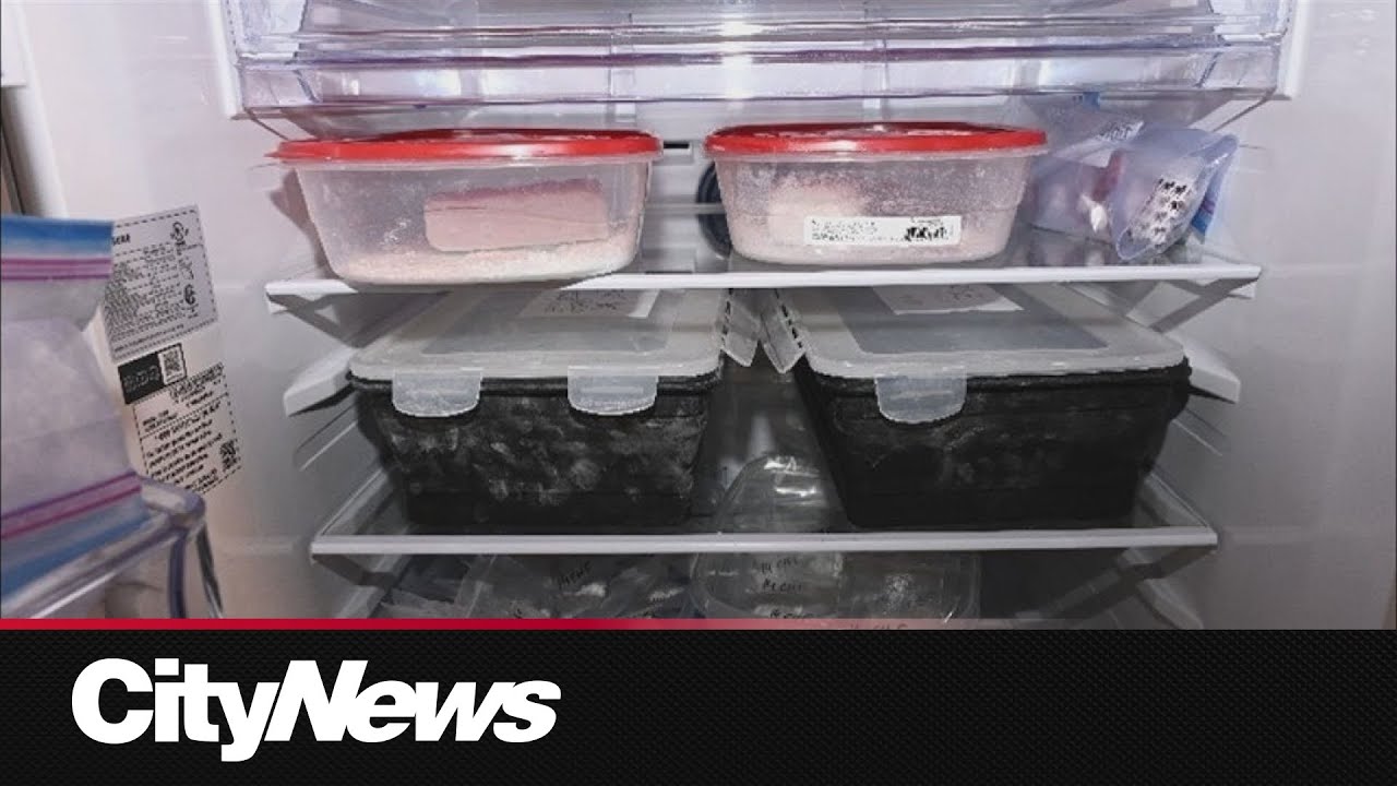 RCMP seize 75 kg of illicit drugs in dark web drug bust