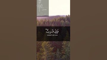 واذا سالك عبادي عني فاني قريب  القارئ أحمد خضر