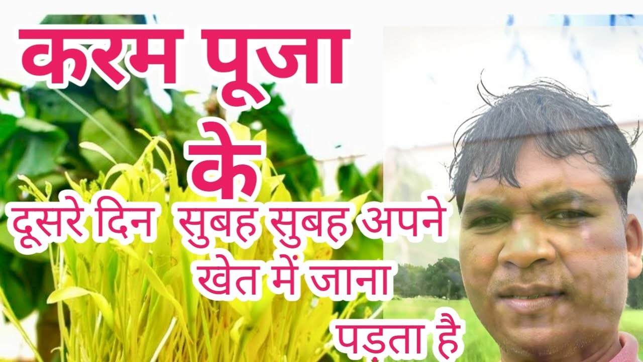 jharkhand agriculture 🌾🌾🌾  धान की खेती