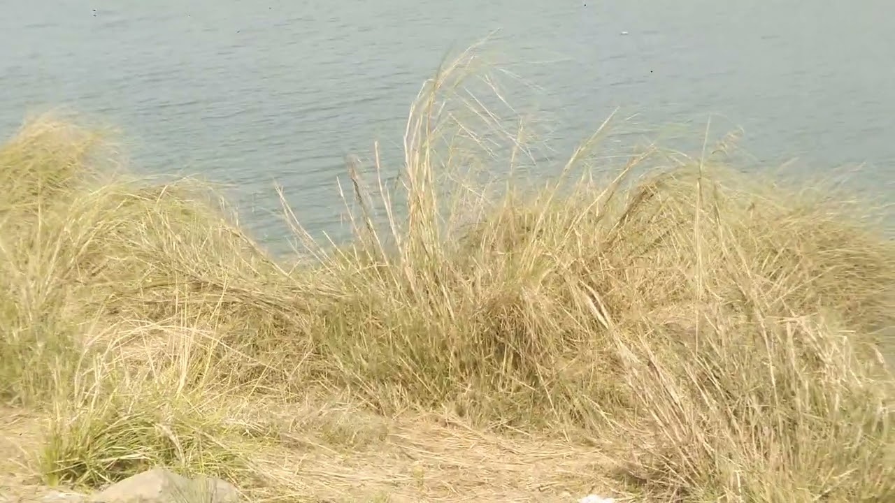 Ajoy Nadi, Katwa, Purba Bardhaman, 09.02.2026