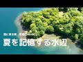 風に乗る翼「夏を記憶する水辺」　空撮　MAVIC3