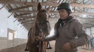 Meg Sleeper demo horse Midwest Horse Fair 2022