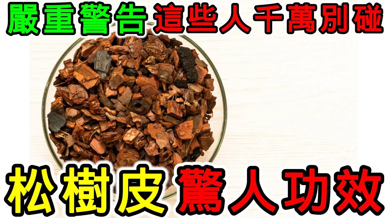 松樹皮補什麼，松樹皮的功效，松樹皮的副作用，松樹皮的食用禁忌，松樹皮不能和什麼一起吃？什麼人不能用松樹皮？ - YouTube