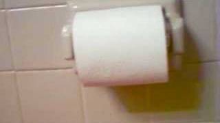 Talking Toilet Paper
