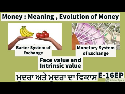 Money,Types & Evolution of Money(ਮੁਦਰਾ ਅਤੇ ਮੁਦਰਾ ਦਾ ਵਿਕਾਸ)Barter & Monetary System of Exchange E-16P