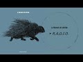 R.A.D.I.O. - a flood of circle