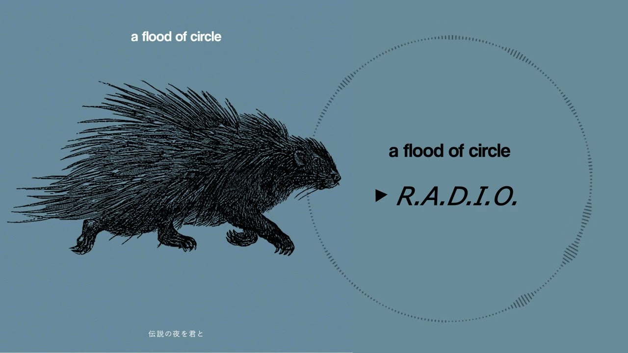 R.A.D.I.O. - a flood of circle - YouTube