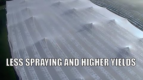 Insect netting for spray-free pest control on fruits and veggies