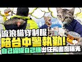 流浪貓穿制服陪台中警執勤！　「自己罐罐自己賺」出任務畫面曝光 @ChinaTimes