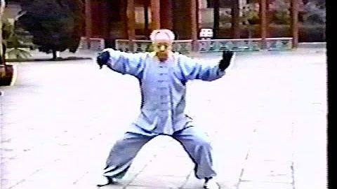 Chen Quanzhong and student demo Old Routine and Ca...