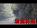 岩窟林道 七宗林道