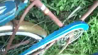 1965 Sears Bicycle - YouTube