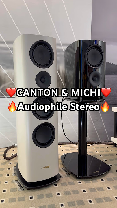 CANTON & MICHI ❤️ Audiophile HighEnd Stereo Sound HiFi Speaker System 🔥 #hiend #hifi #setup #stereo