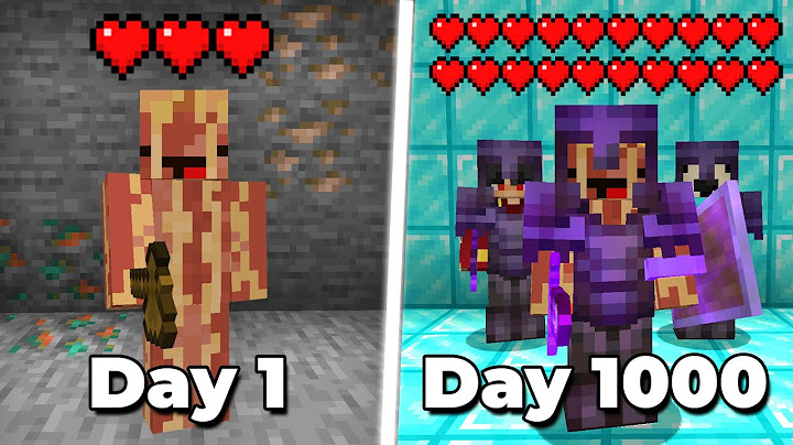 I Survived 1000 Days on Lifesteal SMP