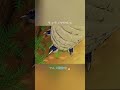 【自作アニメ】ティラノ登場シーン※まあ短いよ