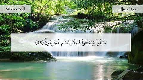 سورة المرسلات -جزء 5 - الآيات 43- 50