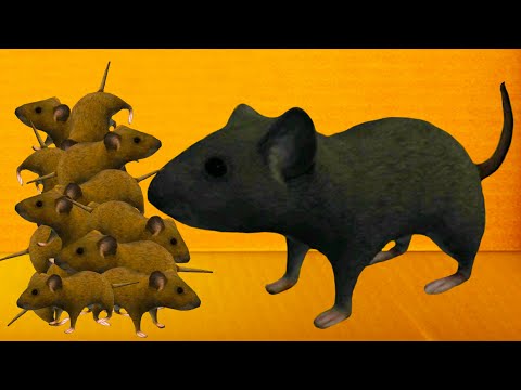 Видео: Симулятор Мыши #2 Стая Мышей и Домик семьи мишат. Сим грызуна с Кидом на пурумчата