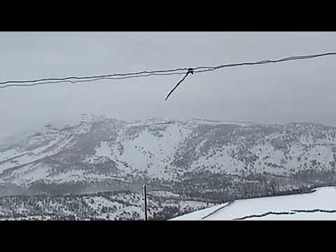Şırnak Güneyçam Köyünden
