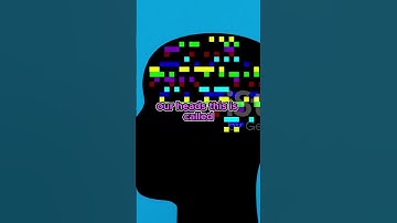 The Surprising Science of Yawning!