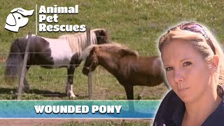 Vets Fear as Miniature Pony Faces Terrible Injury 🐴 | Full Episode | SPCA Rescue