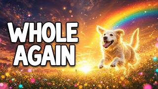 "I’m Whole Again Because of You" 🐾 | A Message From Your Pet in Heaven (Rainbow Bridge Song)  🌈