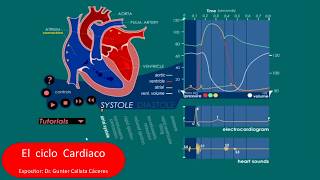 Fisiología Cardíaca: Actividad Eléctrica y Mecánica Explicada