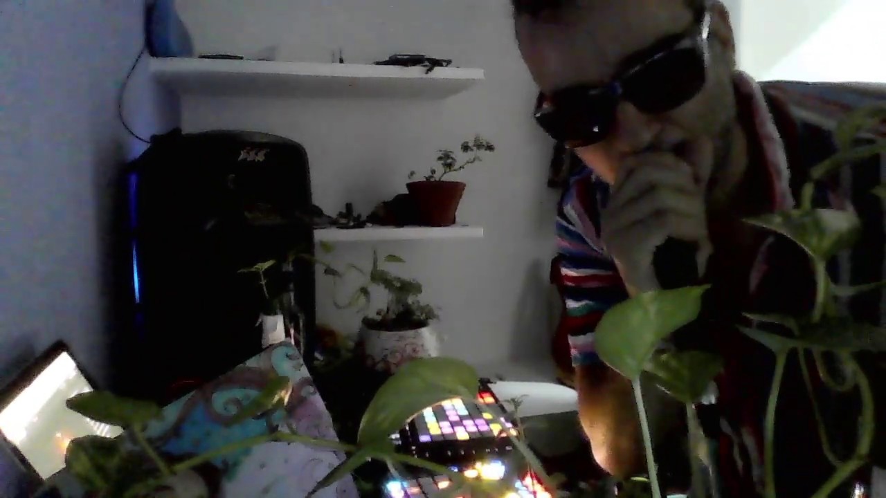 AMONATI SESSIONS: Furmiga Dub LIVE! - Grave Brasileiro