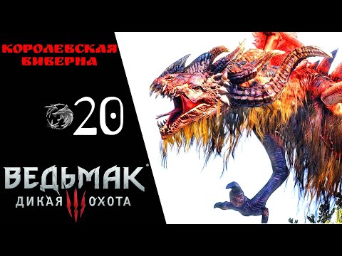 Прохождение Ведьмак 3 Дикая охота ⓴ Королевская виверна, Улучшения Школы Кота, коронация | Witcher 3