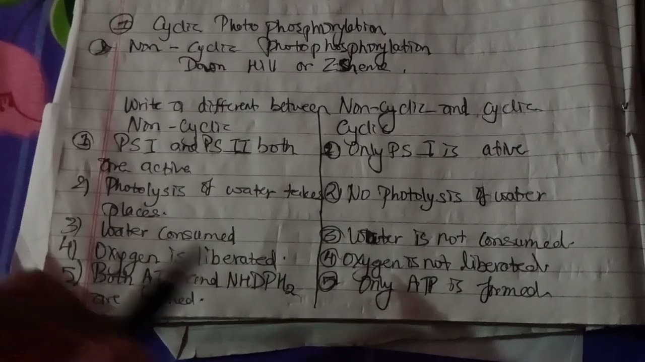 Difference between non-cyclic and cyclic photochemical reaction || 2 nd Yrs Bsc.