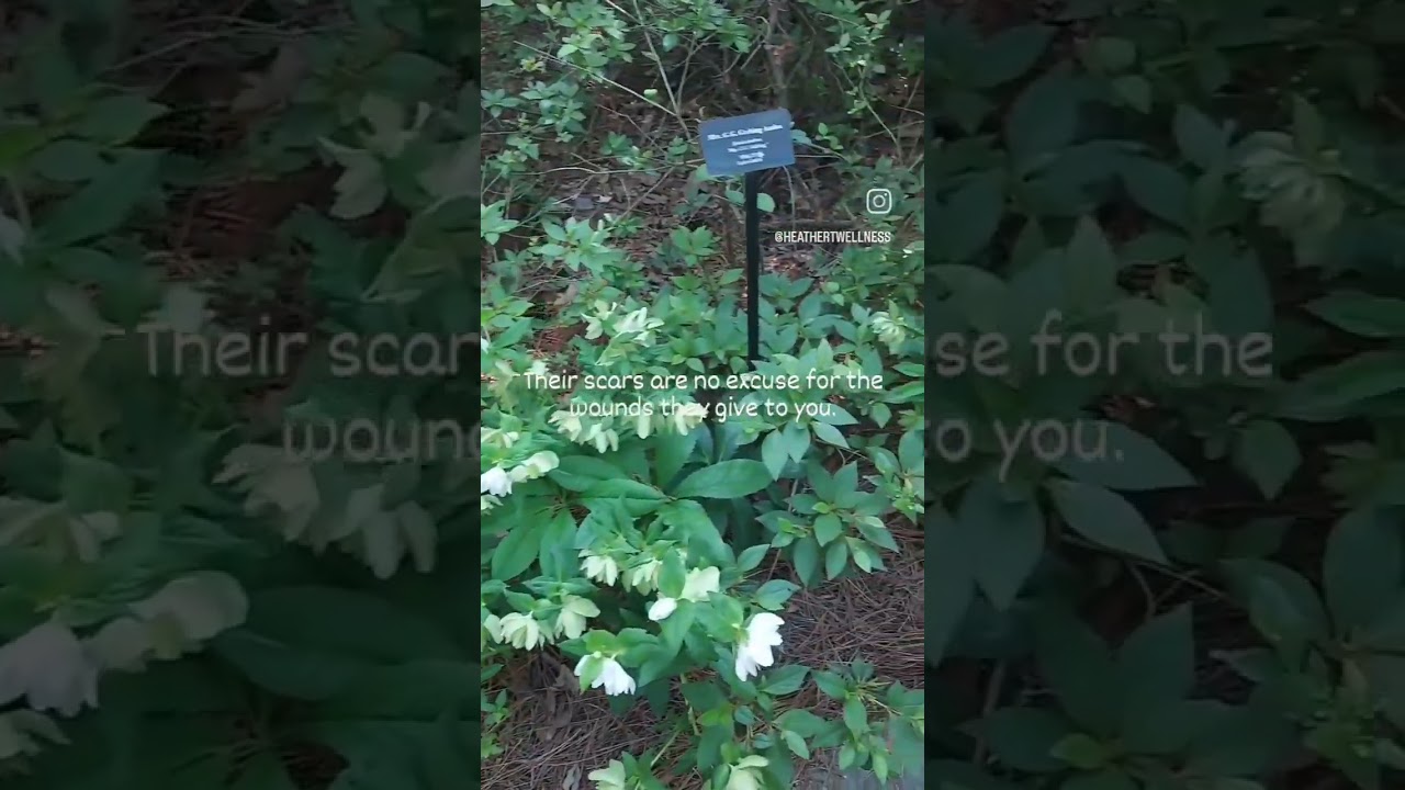 Great Quotes About Trauma 