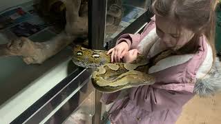 Celebrity Daddy & Daughter Reticulated Python Handling. Wealth