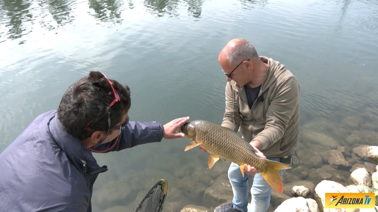 MONDO PESCA - PESCA DI PRIMAVERA - MONTANASO LOMBARDO LODI - CANALE BELGIARDINO - #pescasportiva