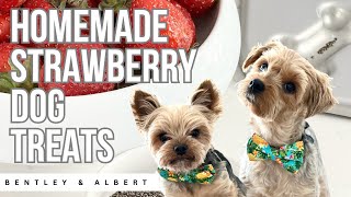 Keep Your Dog Cool with Homemade Strawberry Treats: A Step by Step Guide by At Home With Bentley & Albert 523 views 4 weeks ago 8 minutes, 14 seconds