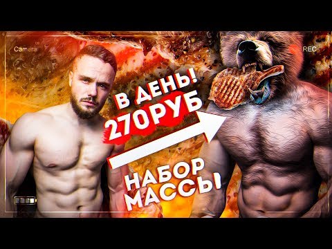 Рацион Медведя на 270 рублей в День (НАБОР МАССЫ)