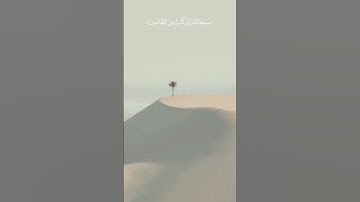وَذَا النُّونِ إِذْ ذَهَبَ مُغَاضِبًا | سورة الأنبياء | وديع اليمني | تلاوة هادى | تلاوة خاشعة وجميل