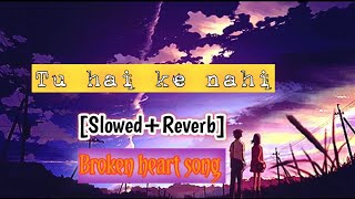 Mid Night [Slowed+Reverb] Lofi songs || Tu hai ki nahi Slowed song ?Heart broken ? lofi sad songs